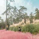땅끝서제골권역 농촌체험휴양마을 | 해남 가볼만한곳 🌾 11월 여행 추천