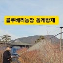 조아방제