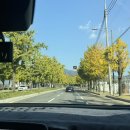 대구농원 | [내차조향소 대구팝업] in 미래농원 (MRNW) 오픈런 후기, 웨이팅팁