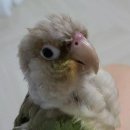 오석헌동물병원 이미지