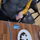 모루 꽃다발 이미지