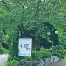해걸음 1067펜션 | 서울근교 힐링 독채펜션 워크샵 단체모임 계곡, 불멍 가능한 1067펜션 프라이빗 양평숙소 한달살기 가능