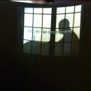 탄허기념박물관 이미지