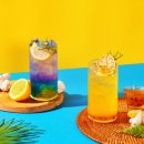 대명 인터내셔널 이미지