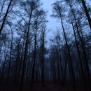 설매재자연휴양림 이미지