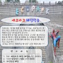 한국체대백궁태권도