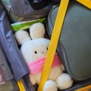 호텔보보(HOTEL VOVO) | [싱가포르] 싱가포르 창이공항 ; 세계 1위 공항 쥬얼창이 폭포 레인 보텍스