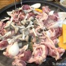 오리사냥 이미지