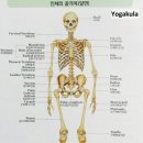 장골 네이버블로그