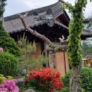 우림밥상 이미지