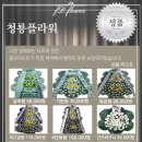 영암농협장례식장