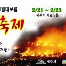 2008 제주 정월대보름들불축제 이미지