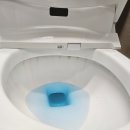 분당-228 이미지