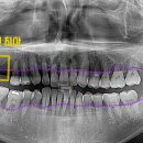 범어도담치과의원 이미지