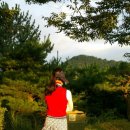 닥스골프경주점 | 20170804 울산컨트리클럽으로 두 번째 라운딩 다녀왔어요!