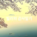 2026.04.27(月) 빌리의 감사일기 -151회차
