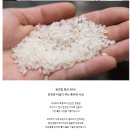 매일농수산 | "매일 삼시 세끼가 행복해지는 비밀,대한민국농수산 새청무 백미 10Kg 솔직 추천