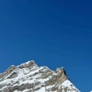 플로라민박 이미지