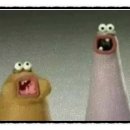 보스헤어 이미지