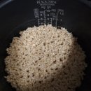 옛날꽁보리밥 이미지