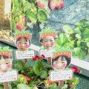 고신농장 이미지