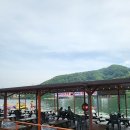 비버매점