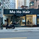 모호헤어(MoHoHair)