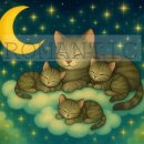 구름위의고양이 이미지