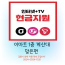 와이에프 | 25년 4월 7일 판매 후기