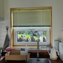 스테이뵤뵤 이미지