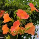 김나연공인중개사사무소 이미지