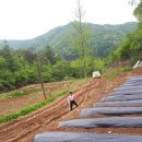 비젼센타 이미지