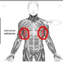 어깨로 어퍼치는 동작 ㅡ 전거근 이미지