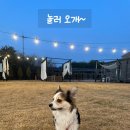 기승전견