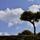 태우농장 이미지