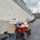 고요하우스 | [경기/가평🏖️] 프라이빗 &amp; 럭셔리 가평 포레브 브라만 하우스 숙박 후기 (feat. 아침고요수목원🌳)