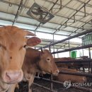 정종호 축사 이미지