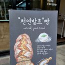 한실초 | [대구 수목원 베이커리] 천연발효빵을 찾으신다면, 여기입니다! 《브리즈 브레드(Breeze Bread)》