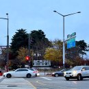 2024 손기정 평화 마라톤 10.5km 참가 후기