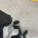 인천산곡북초등학교 | [인천 재개발] 부평구 청천동-산곡동 임장 후기2...산곡6구역/산곡도시환경/산곡신일해피트리/산곡쌍용)