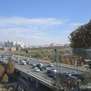 왔다집 | 대구동물원 네이처파크 아기백사자(루카,루나)보고왔다! / 대구또간집 여원찜갈비 후기