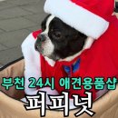 어 페일 블루닷 이미지