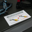 멍멍아 야옹 이미지