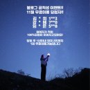 강릉별밤투어