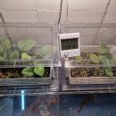 주식회사 유얼 이미지