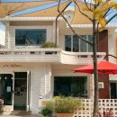 블루메디 이미지