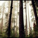 인천약국 이미지