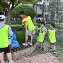 힘쎈어울림태권스쿨 이미지