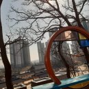 모담공원 이미지