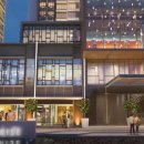 셀레스타 이미지